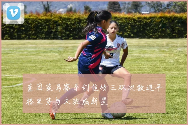 奎因菜鸟赛季创佳绩三双次数追平格里芬与文班成新星