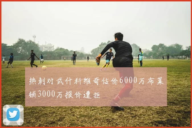 热刺对武什科维奇估价6000万布莱顿3000万报价遭拒